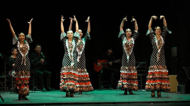 Grupo Elena Vicini por alegrías. Bail...