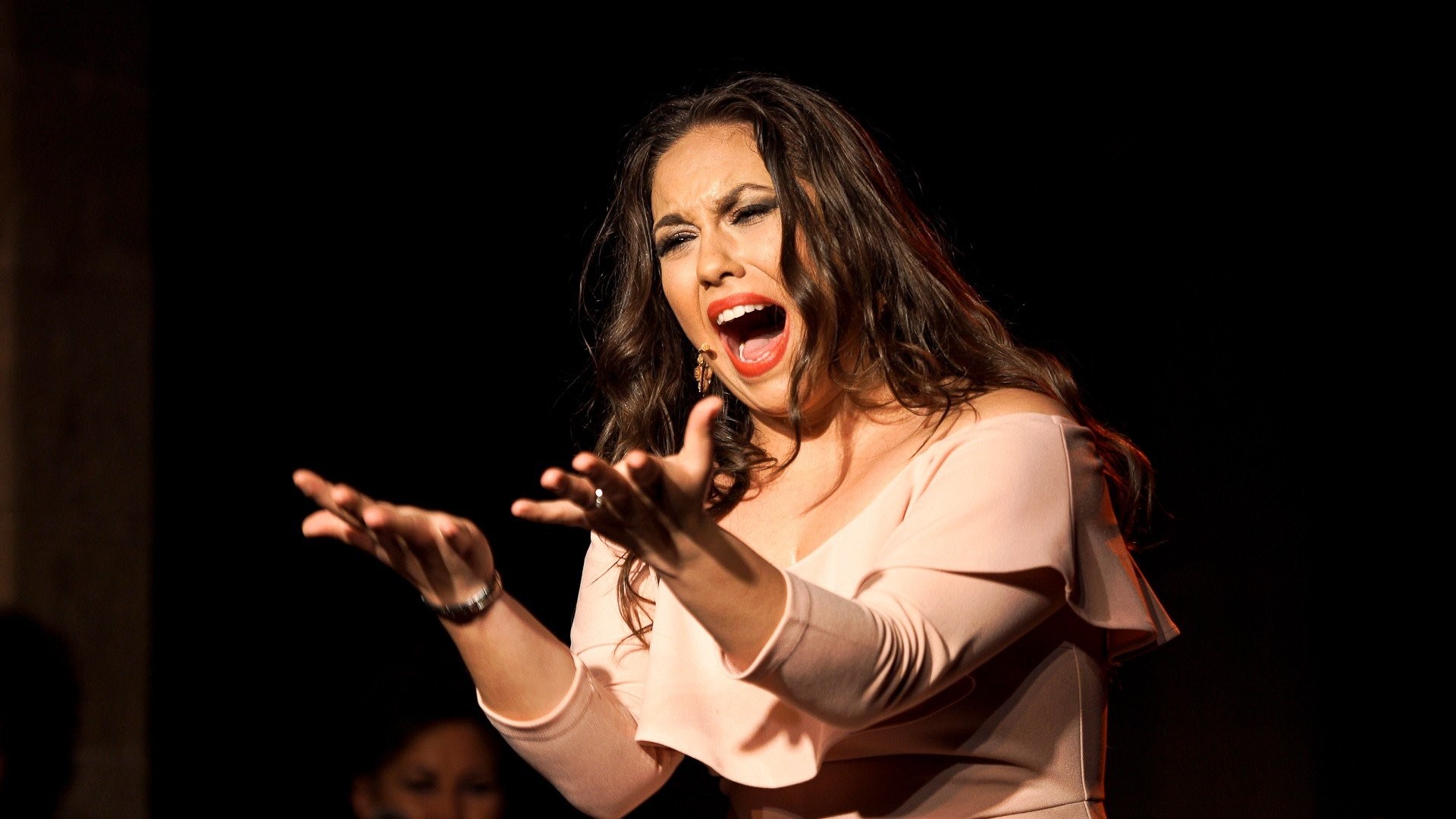 Fandangos. Raíces. 22 Festival de Jerez