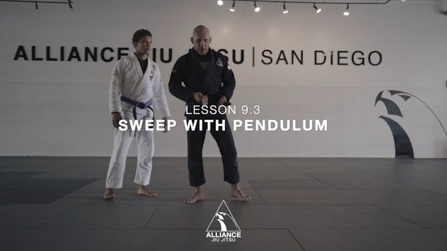 Lesson 9.3 - Sweep with Pendulum