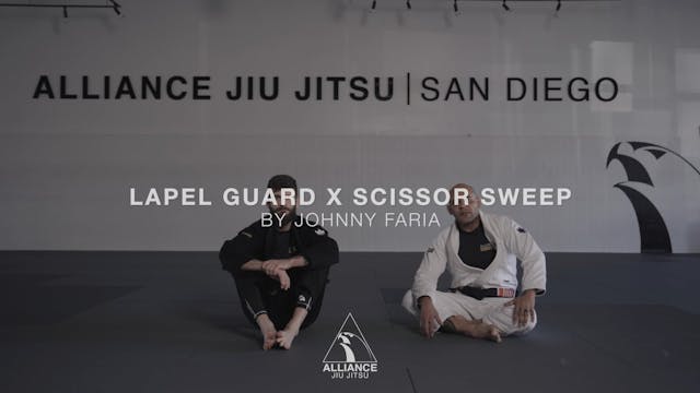 Lapel Guard - Scisscor Sweep