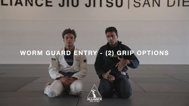 Worm Guard Entry - 2 Grip Options