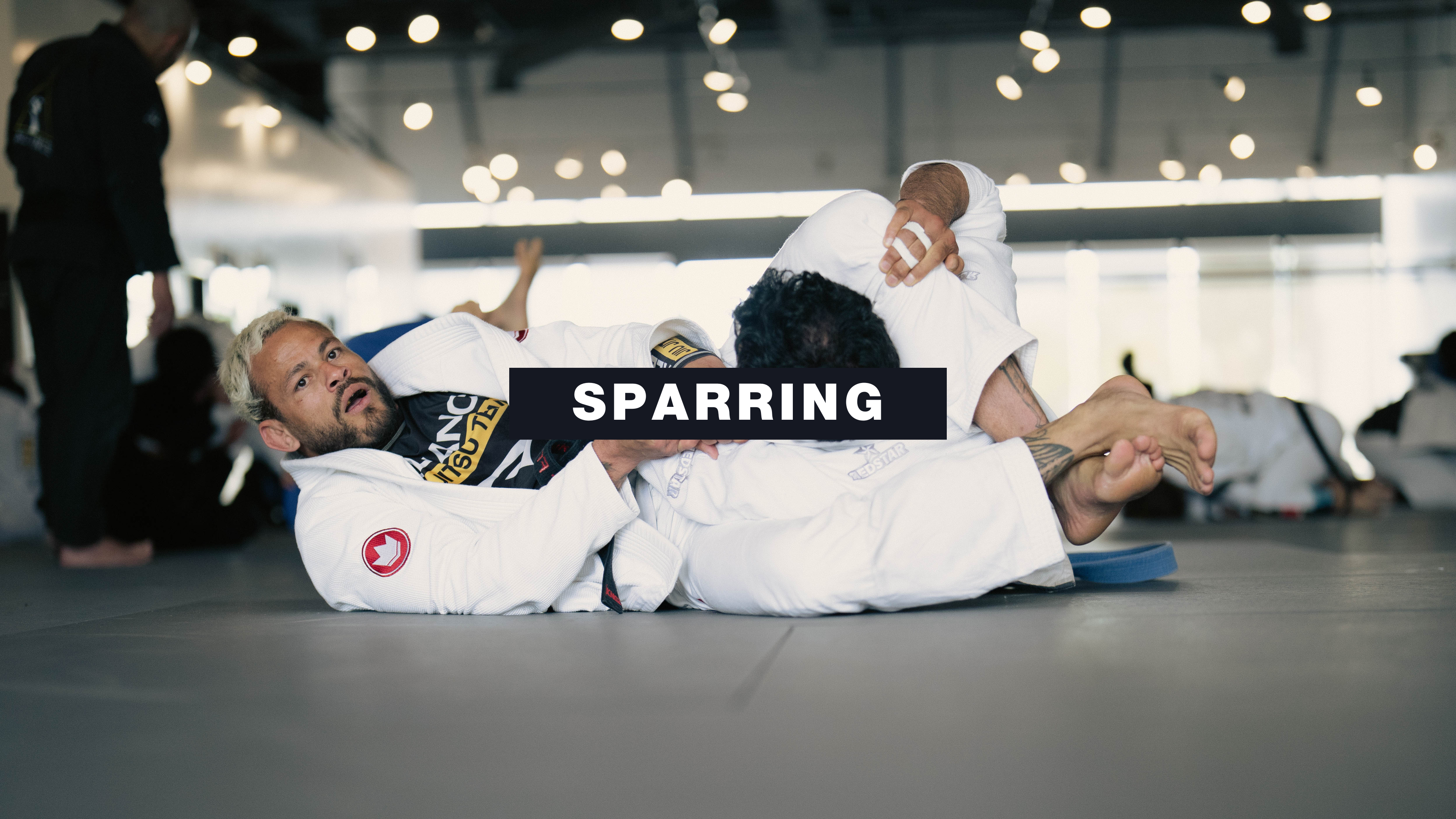 Live Rounds - Sparring