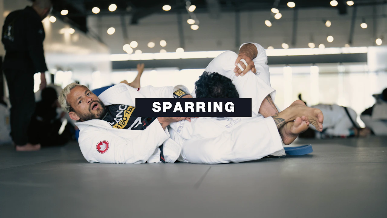 Live Rounds - Sparring - ALLIANCE SD+