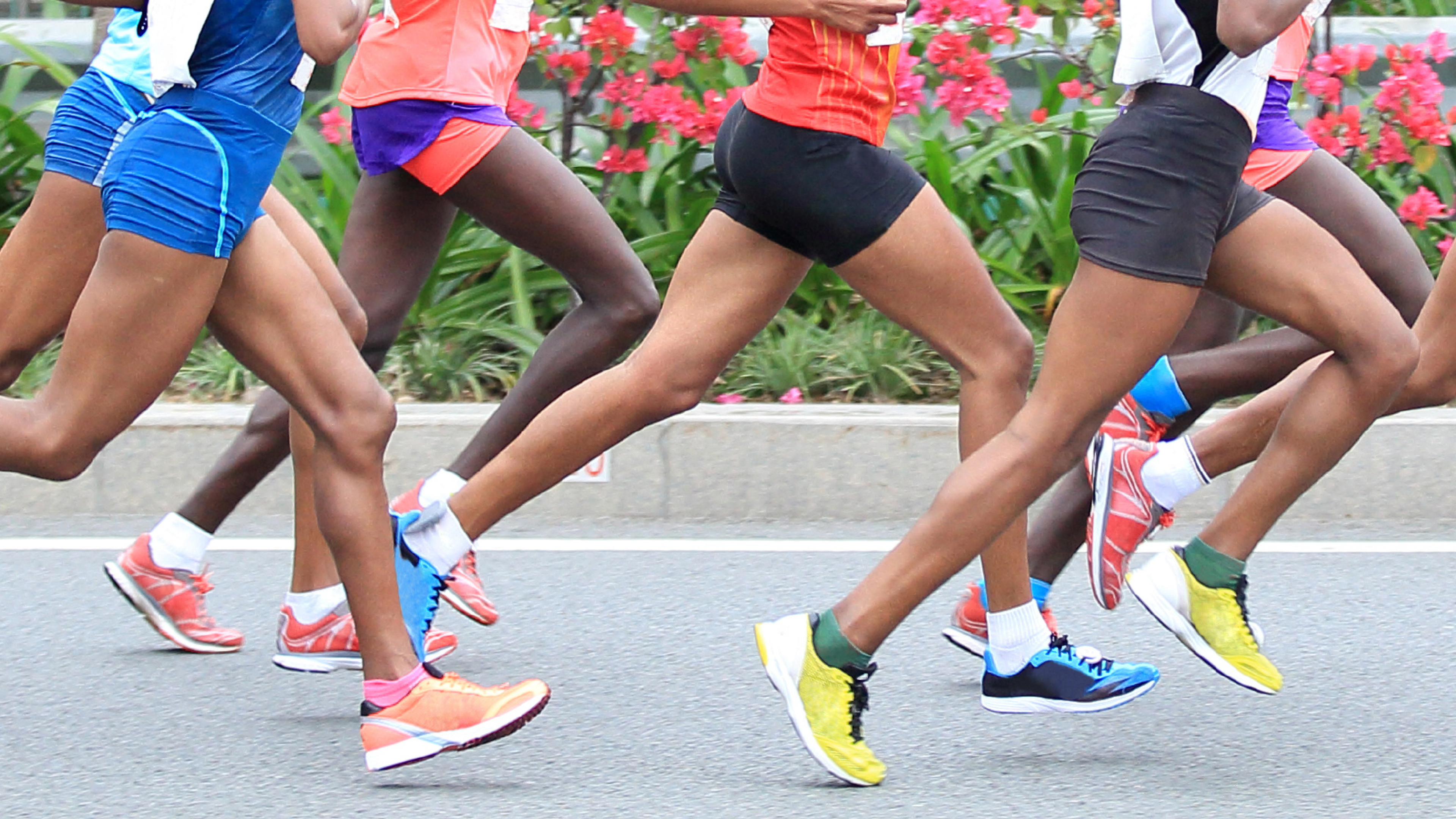 Runner's World+ Training Plans All Out Studio