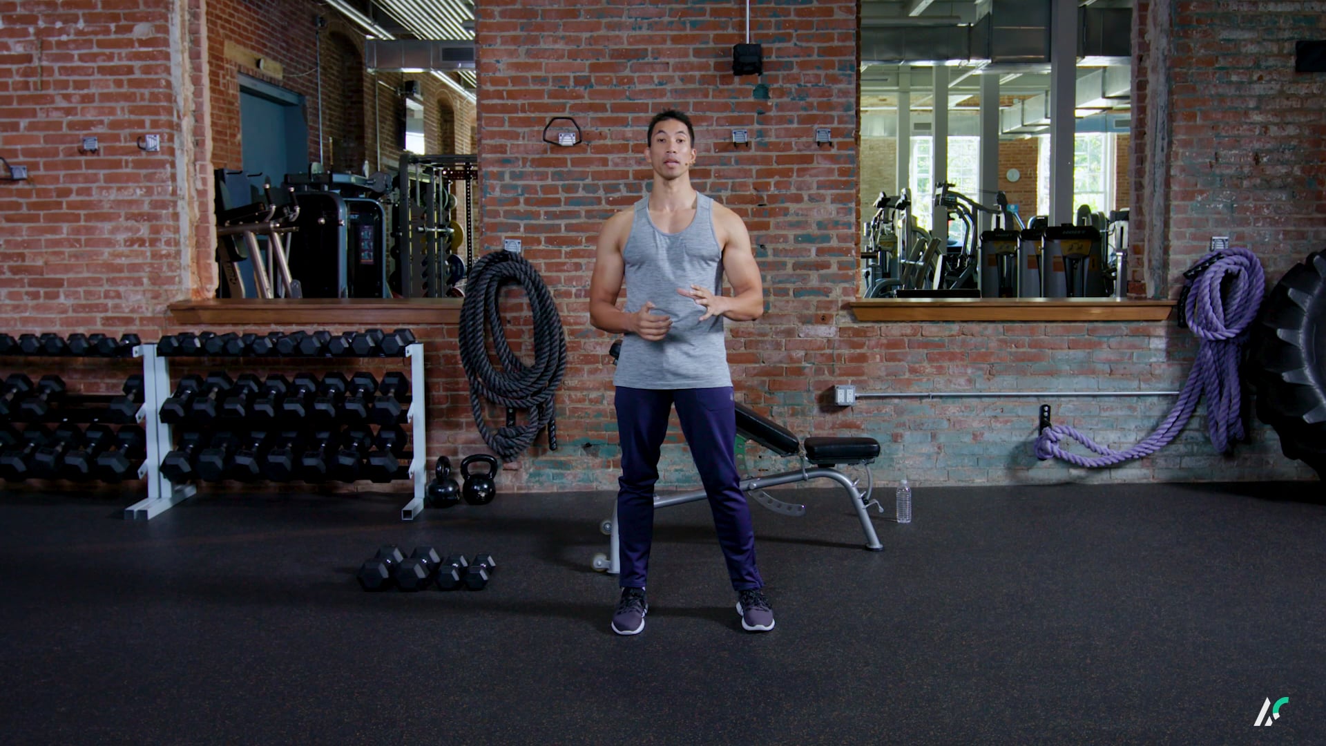 New Rules of Muscle: The Rule of Lats