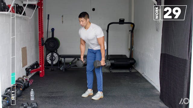 All Out Arms: Anchor 3 Bis and Thighs