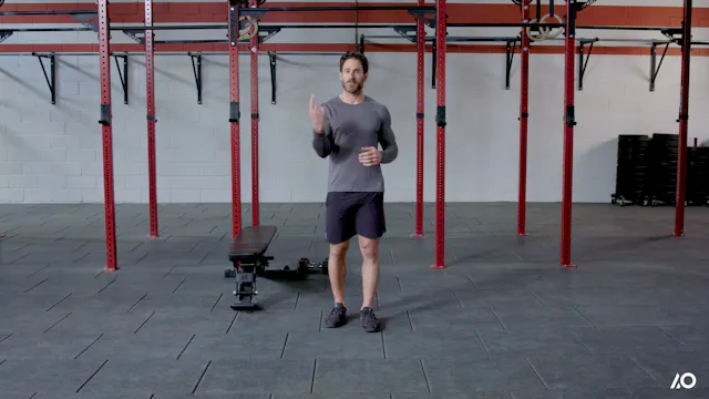 Superhero Shred: Explosive Plyo & Abs