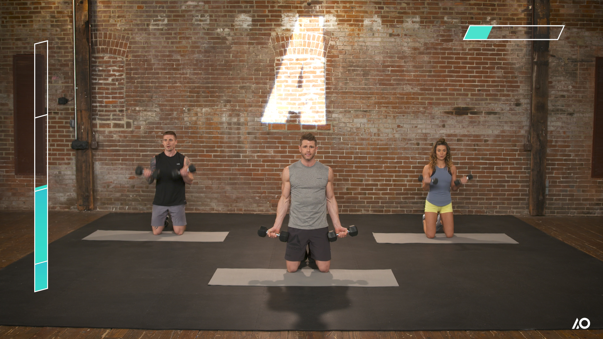 Anarchy Arms: Biceps