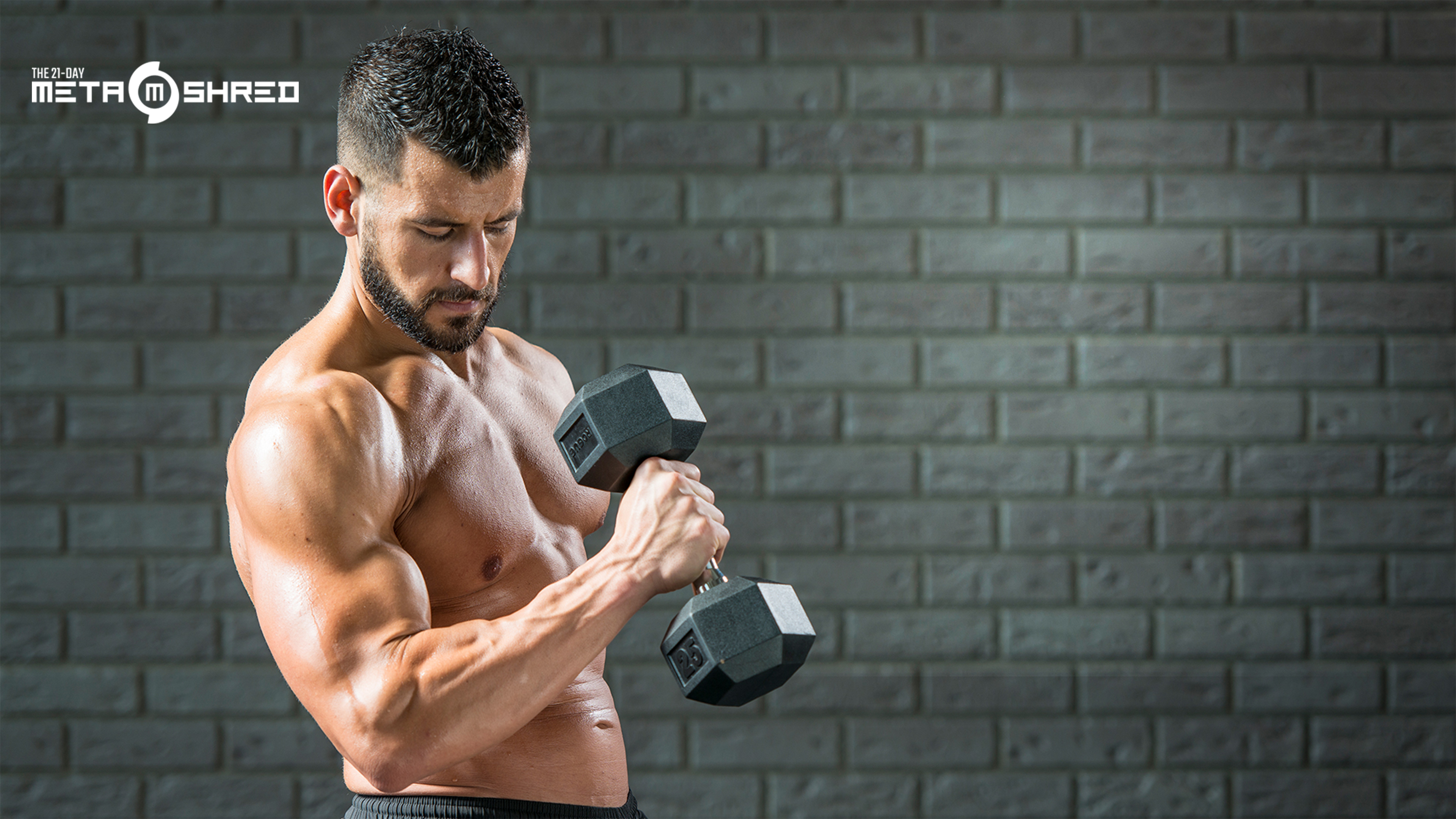 The 21Day MetaShred All Out Studio