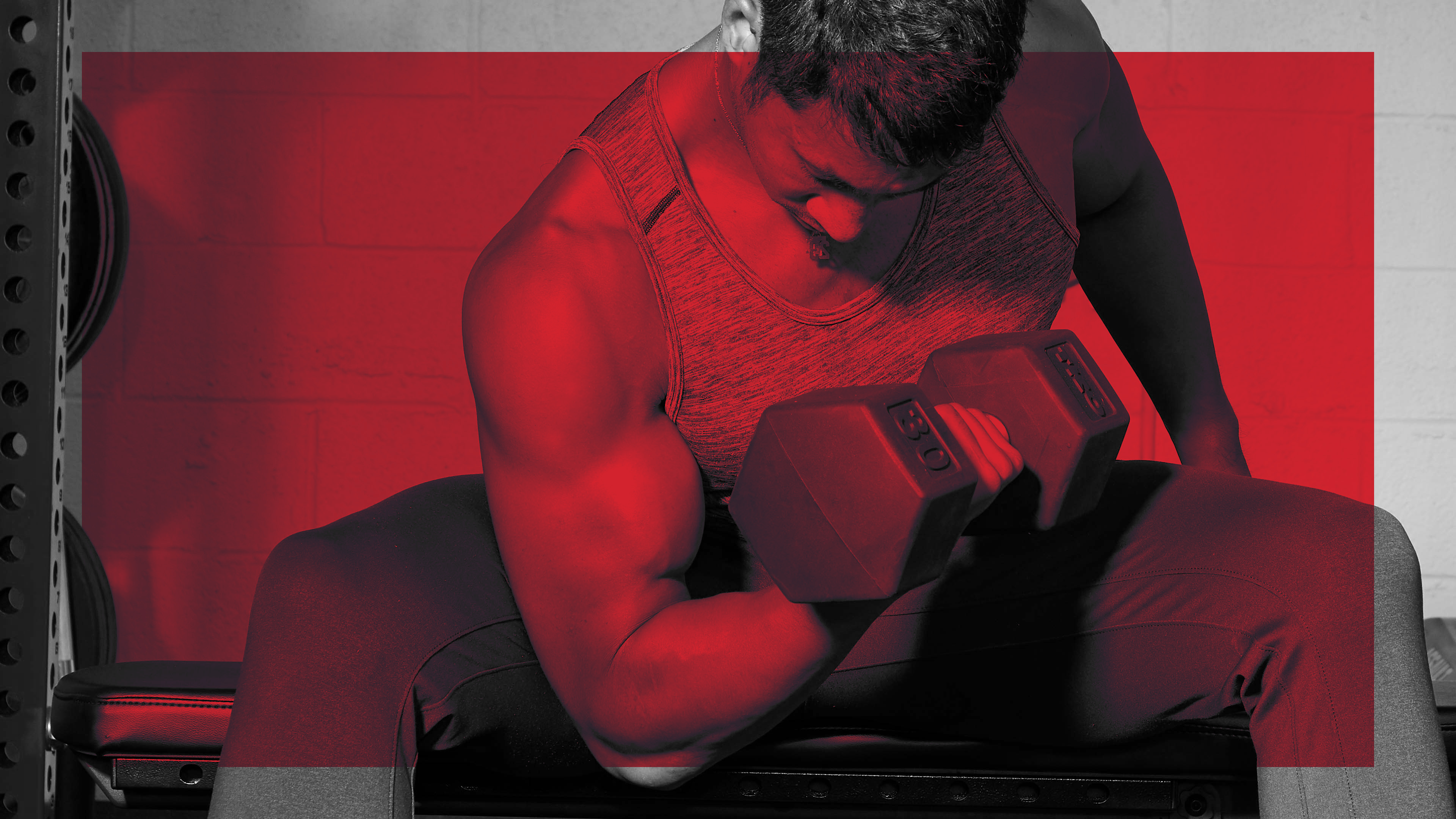 MH Body Recomp: Your Experts