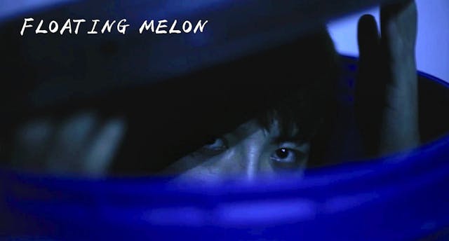 Floating Melon (2015)