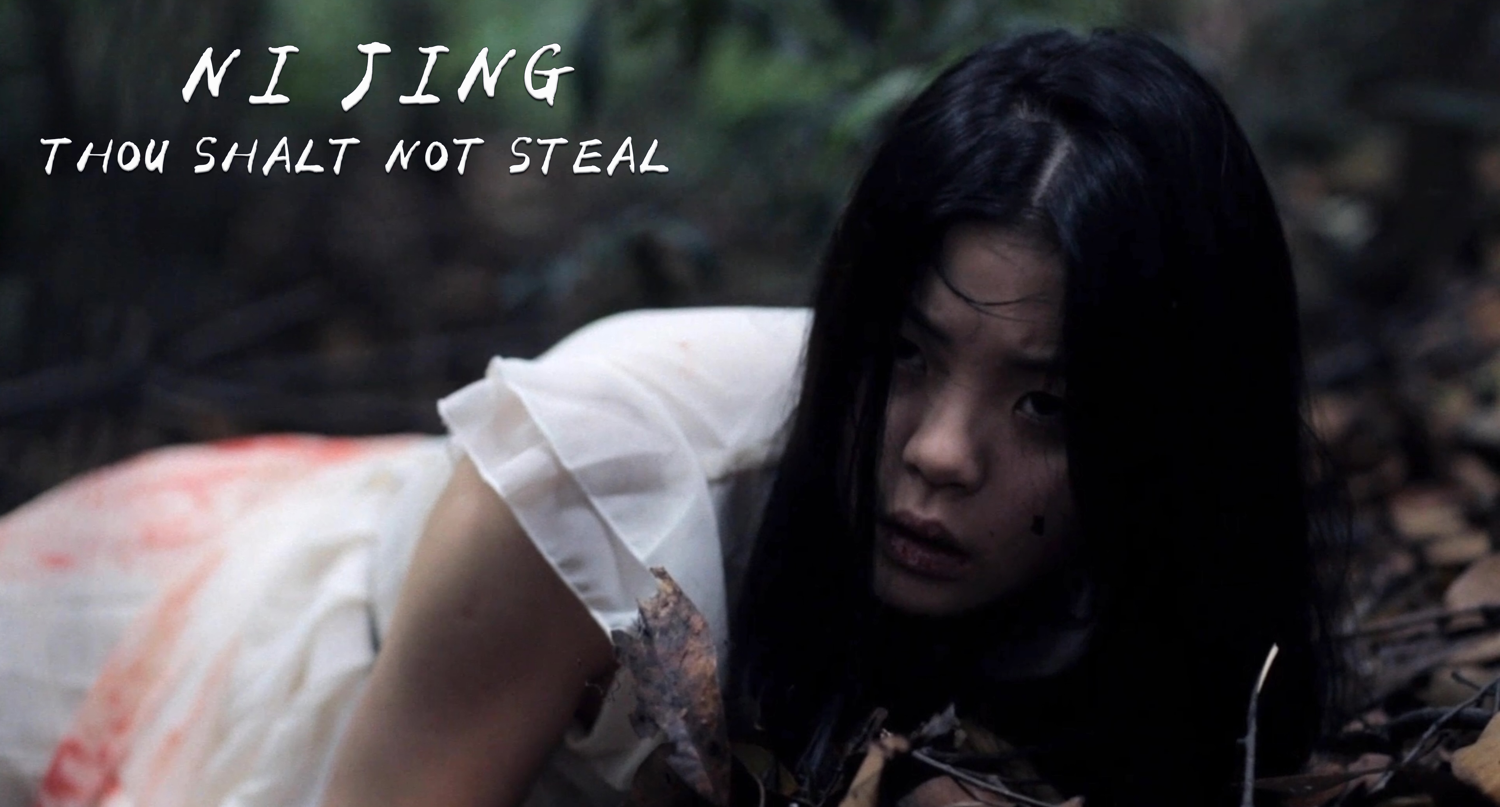 Ni Jing: Thou Shalt Not Steal (2013)