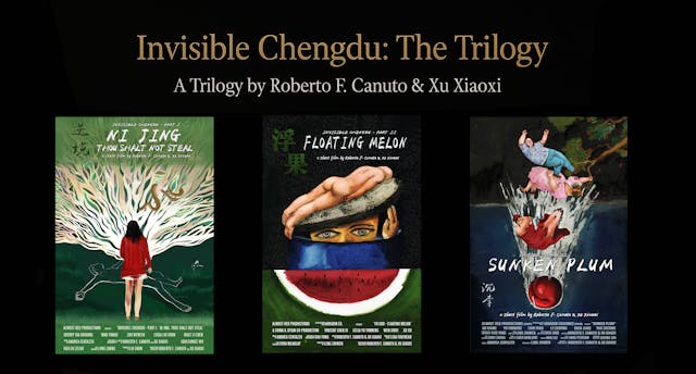 Invisible Chengdu Trilogy (2013–2017)