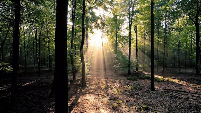 Nature-Hike   [NB-1033]