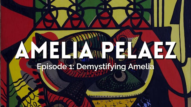 Part I: Demystifying Amelia