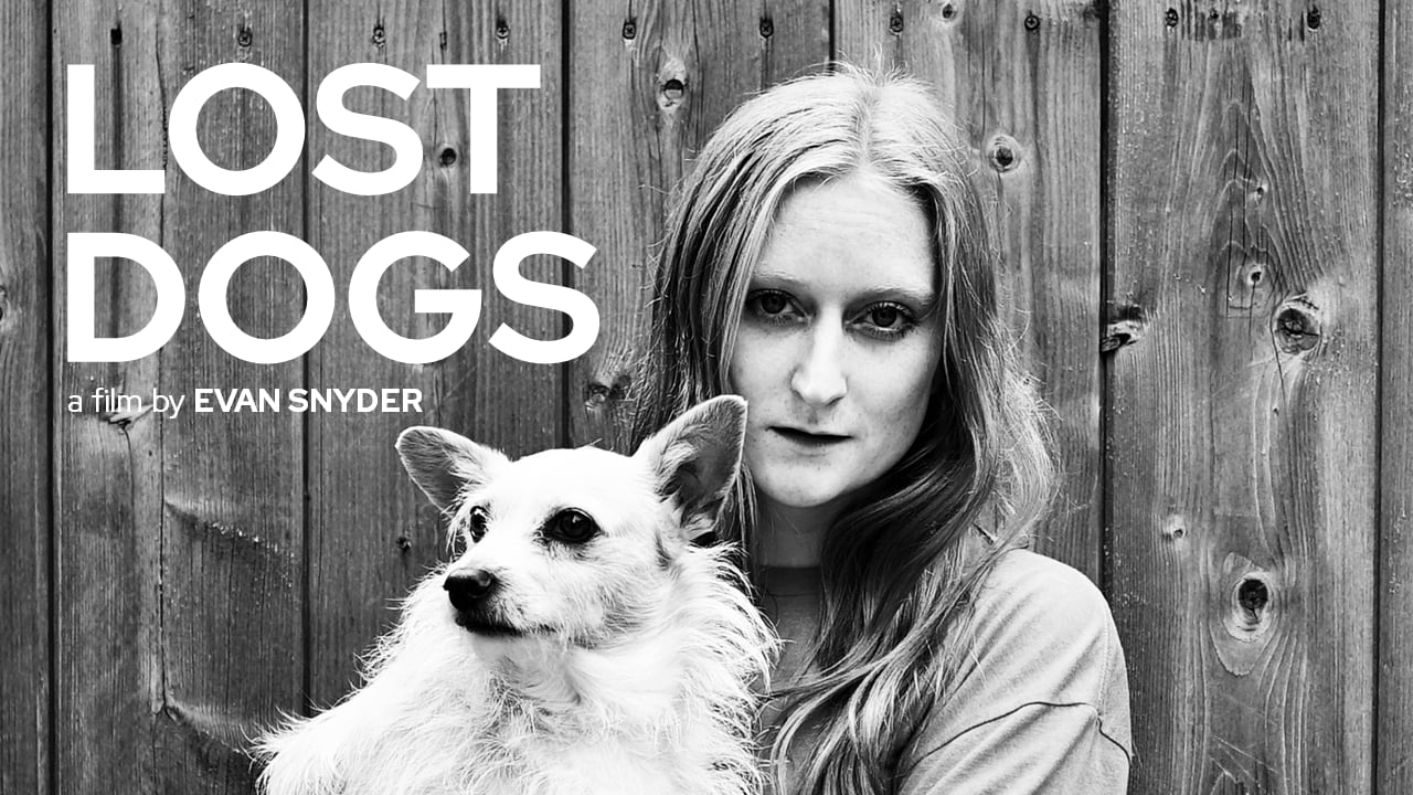 Lost Dogs