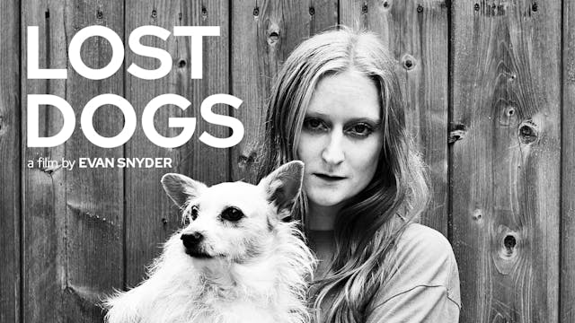 Lost Dogs