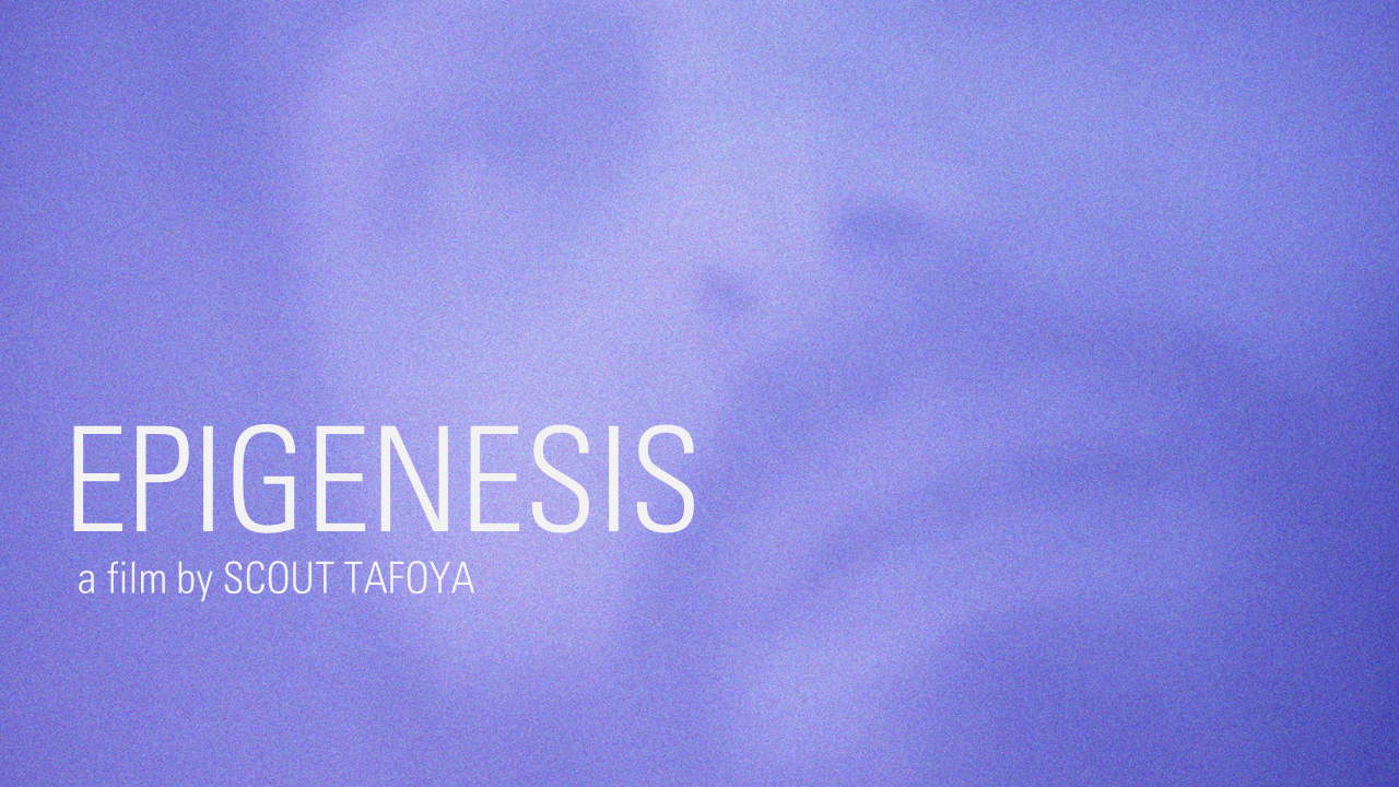 Epigenesis