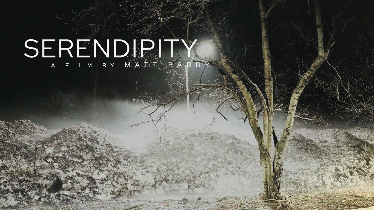 Serendipity