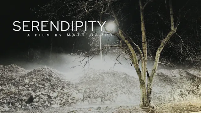 Serendipity