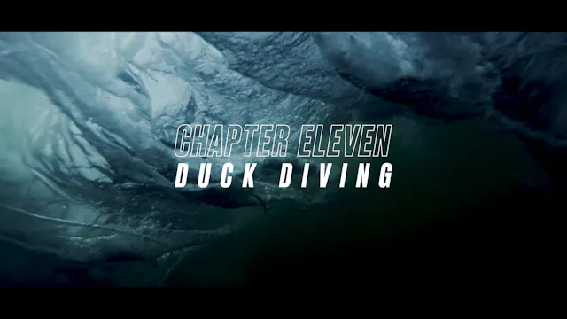 CHAPTER 11 - THE DUCK DIVE