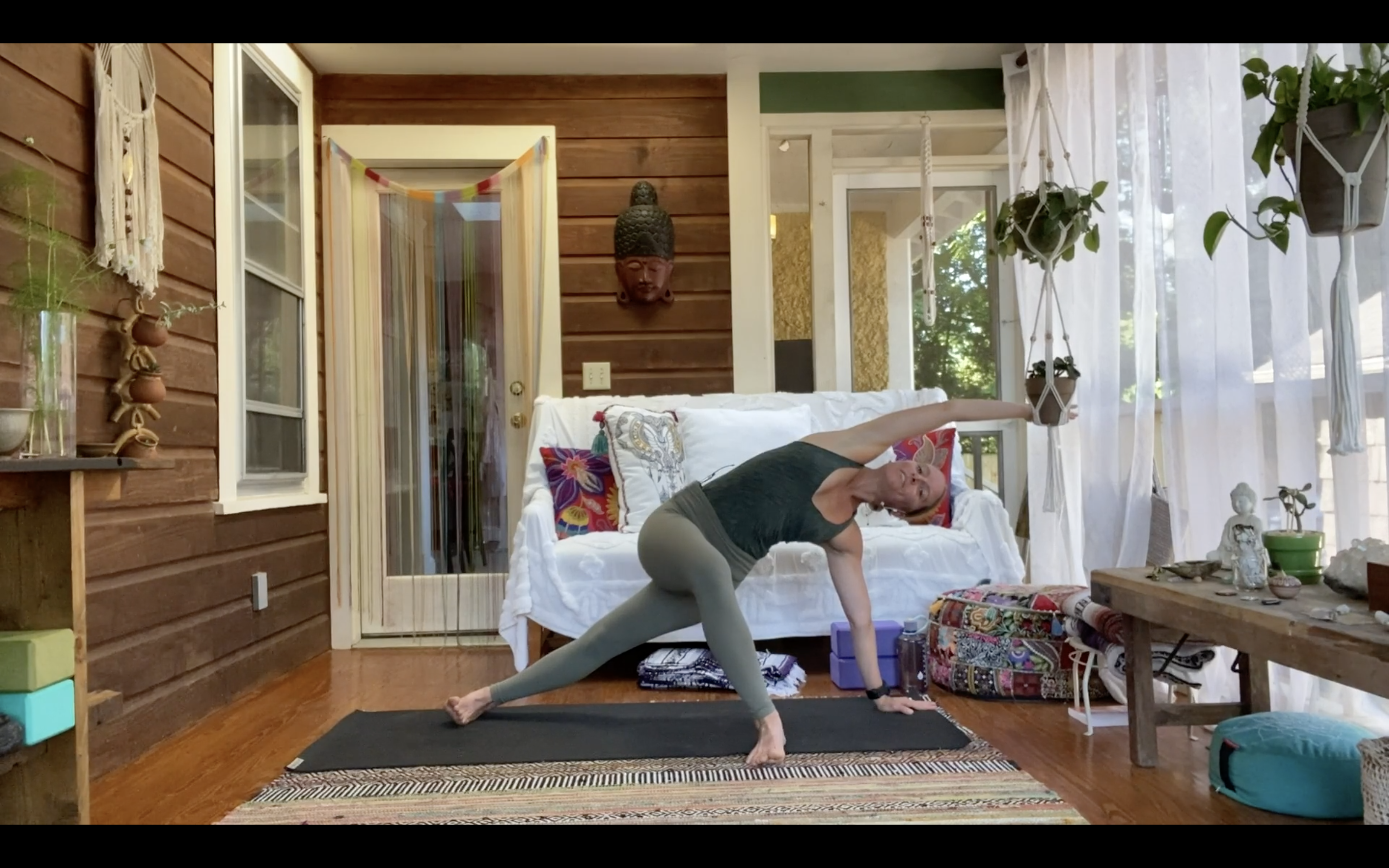 Hips to Triceps Full Body Strength and Length 