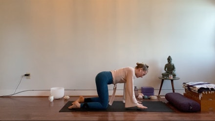 Amber Shadwick Video