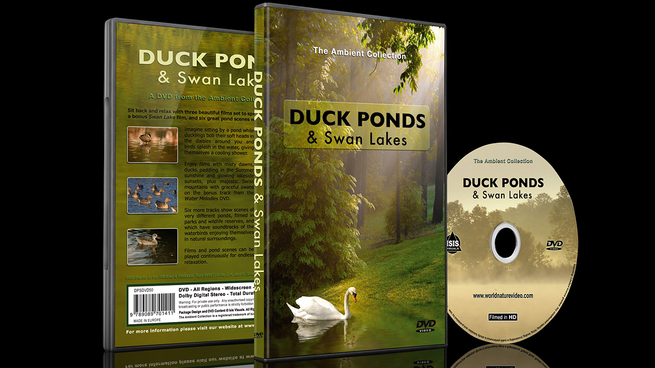 Pon video hd