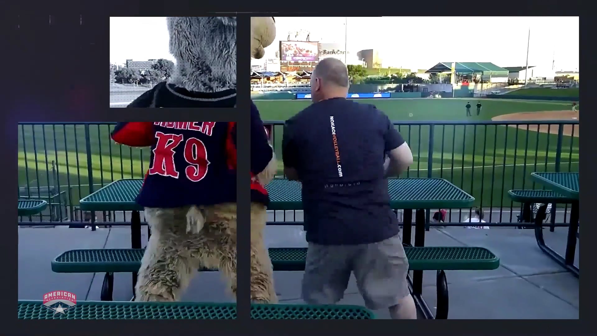 Across the Association - Week #11 (7/27/21)