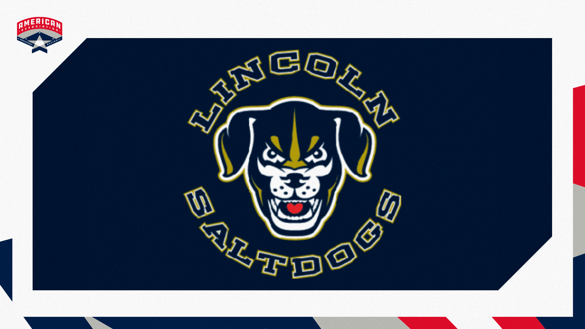 Saltdogs 2025 Game Archive