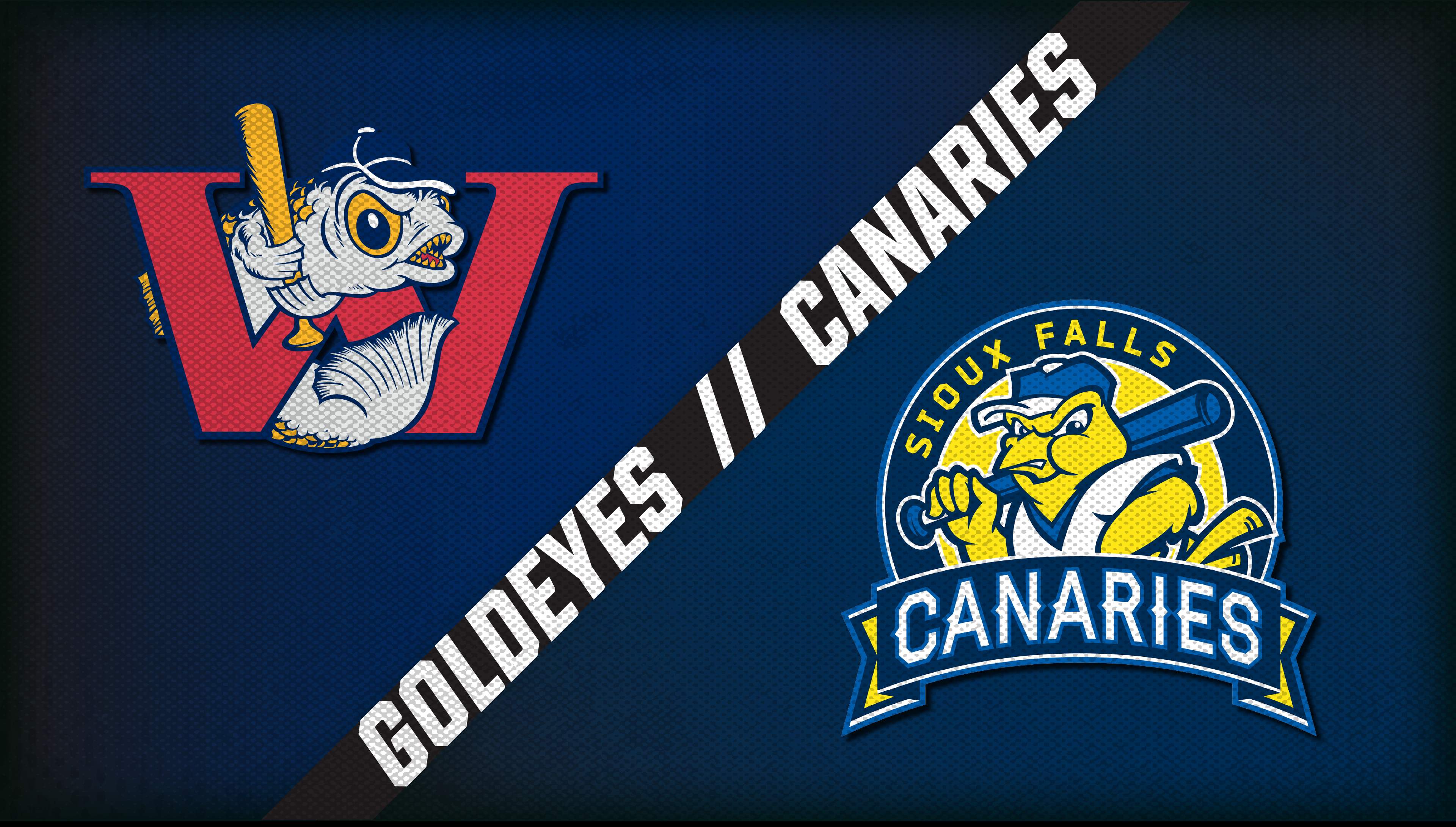 Winnipeg vs. Sioux Falls (8/16/20)