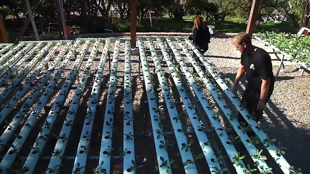 America's most innovative companies