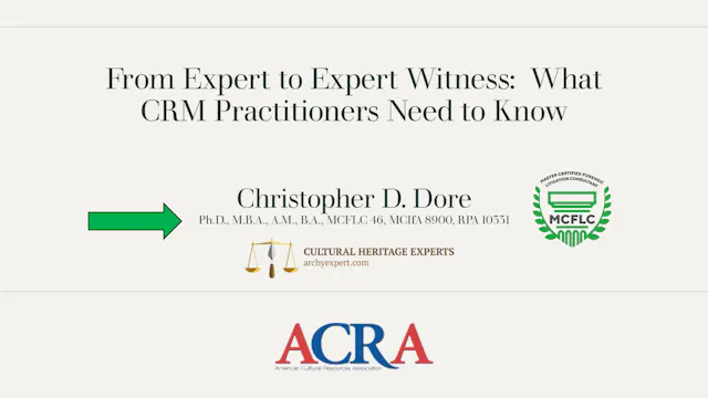 From Expert to Expert Witness