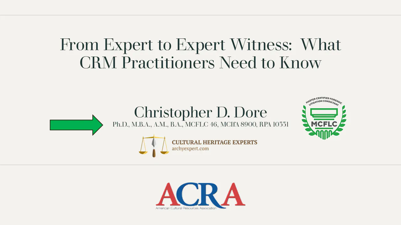 From Expert to Expert Witness