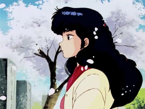 michael jackson •ﾉﾉﾉ pretty young thi...