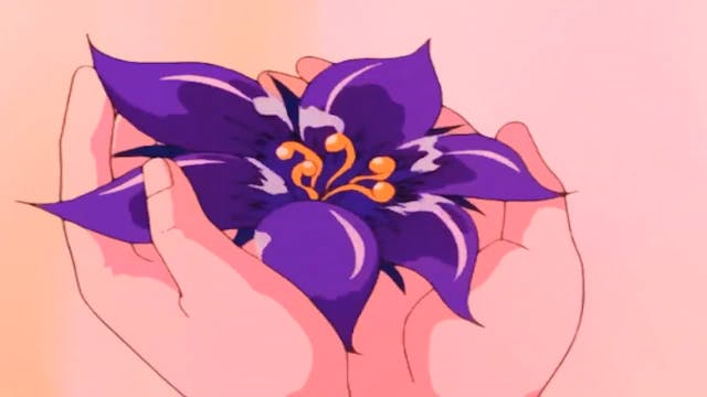 wale & miguel •ﾉﾉﾉ lotus flower bomb ...