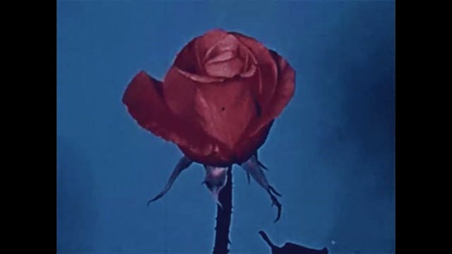 quavo •ﾉﾉﾉ without you ~ amk+ chillho...