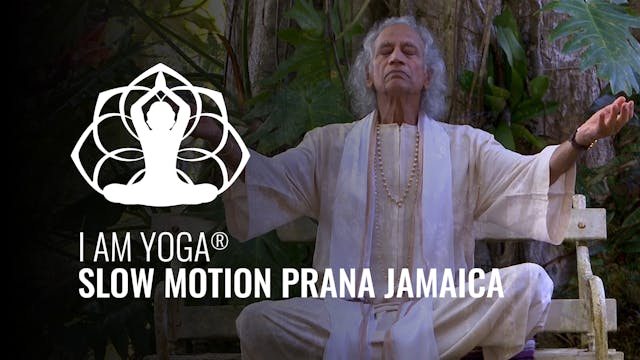 I AM Yoga® Slow Motion Prana Jamaica