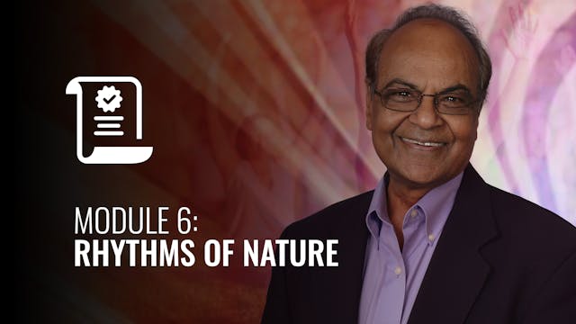 I AM Ayurveda: Module 6: Rhythms of N...