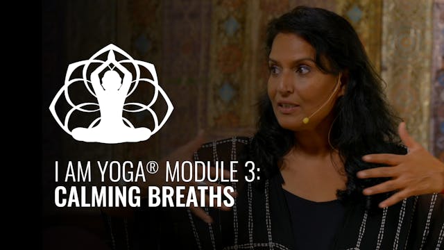 Module 3 Calming Breaths