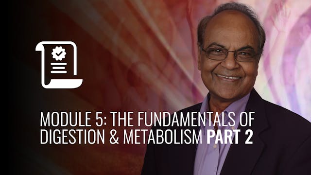 I AM Ayurveda: Module 5: The Fundamen...