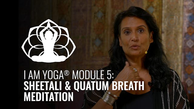 Module 5 Sheetali & Quatum Breath Med...