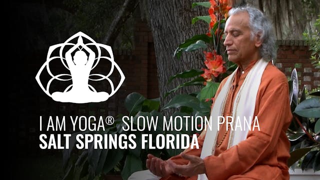 I AM Yoga® Slow Motion Prana Salt Spr...