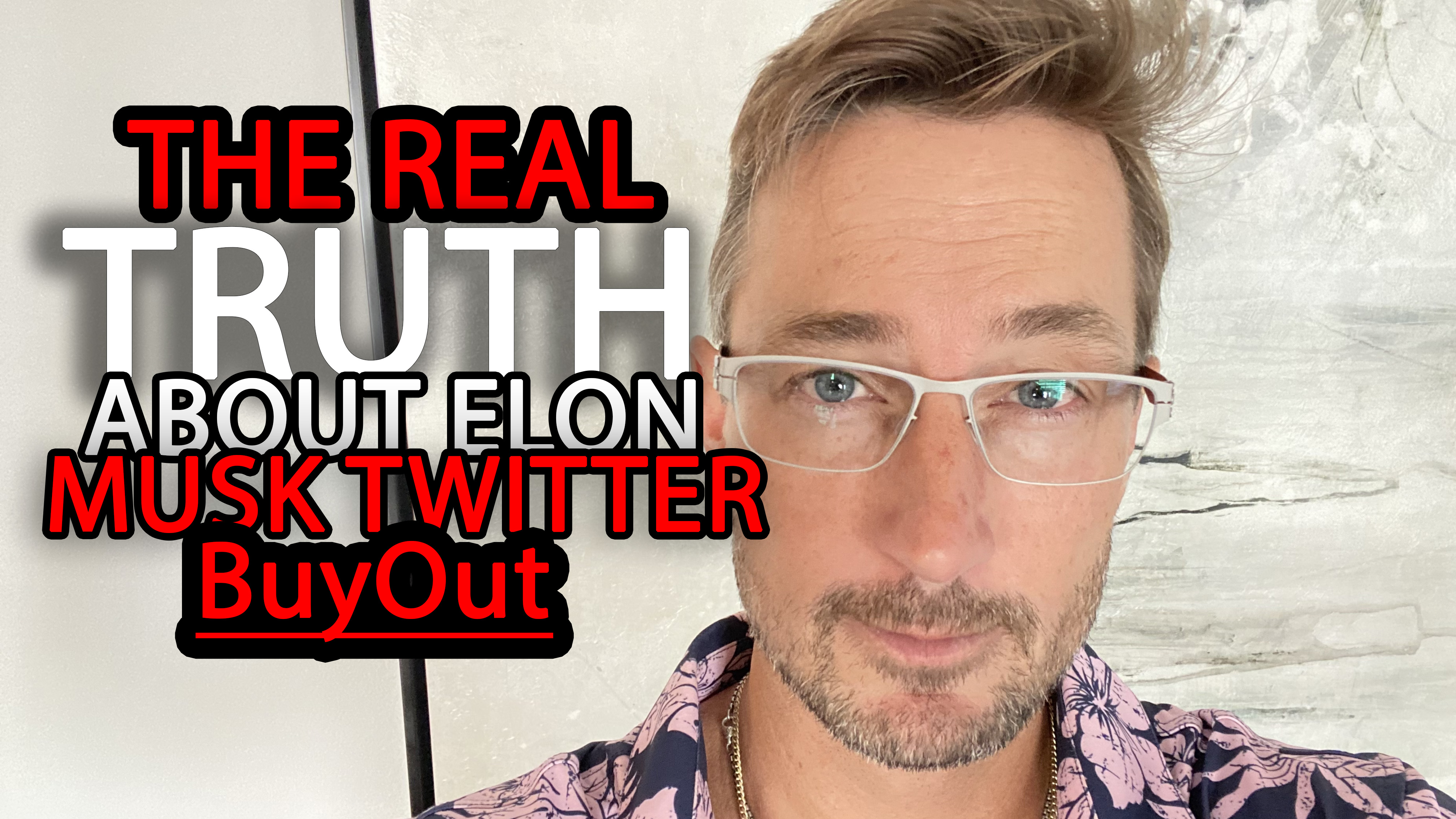 The REAL TRUTH About Elon Musk Twitter BuyOut - (Critical Questions?)
