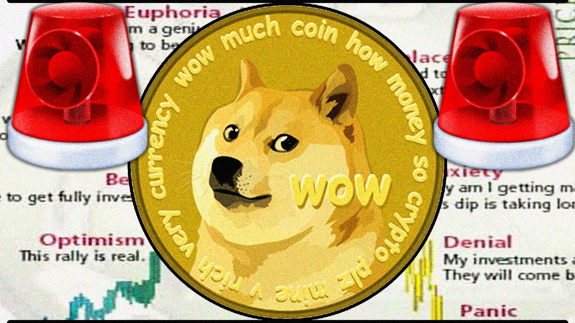 doge live coin watch