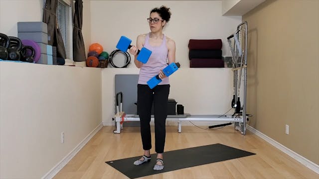 Push Up Handles Demo