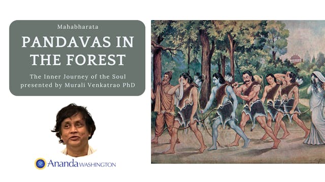 Pandavas in the Forest