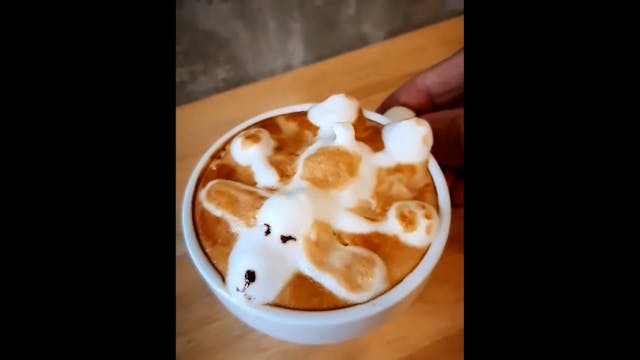 Coffee-dog