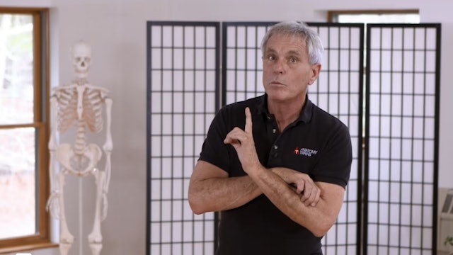 Fascia 201_12_Fluid Fascia, Movement, and Injuries DO NOT USE YET