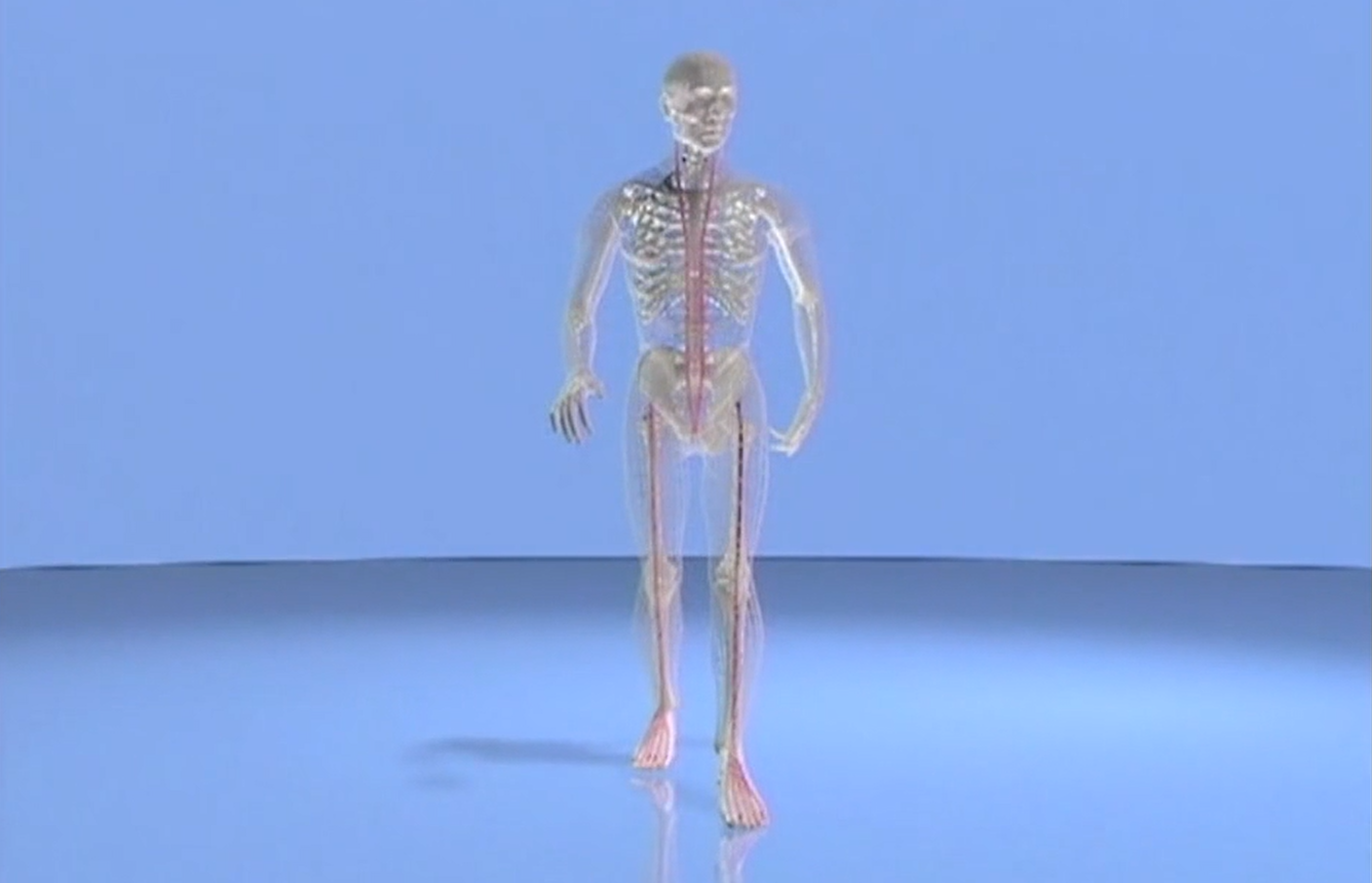 The Superficial Front Line Full Technique video